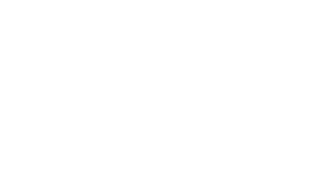 RS Rally Sprint